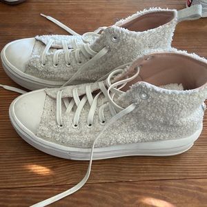 Sherpa converse